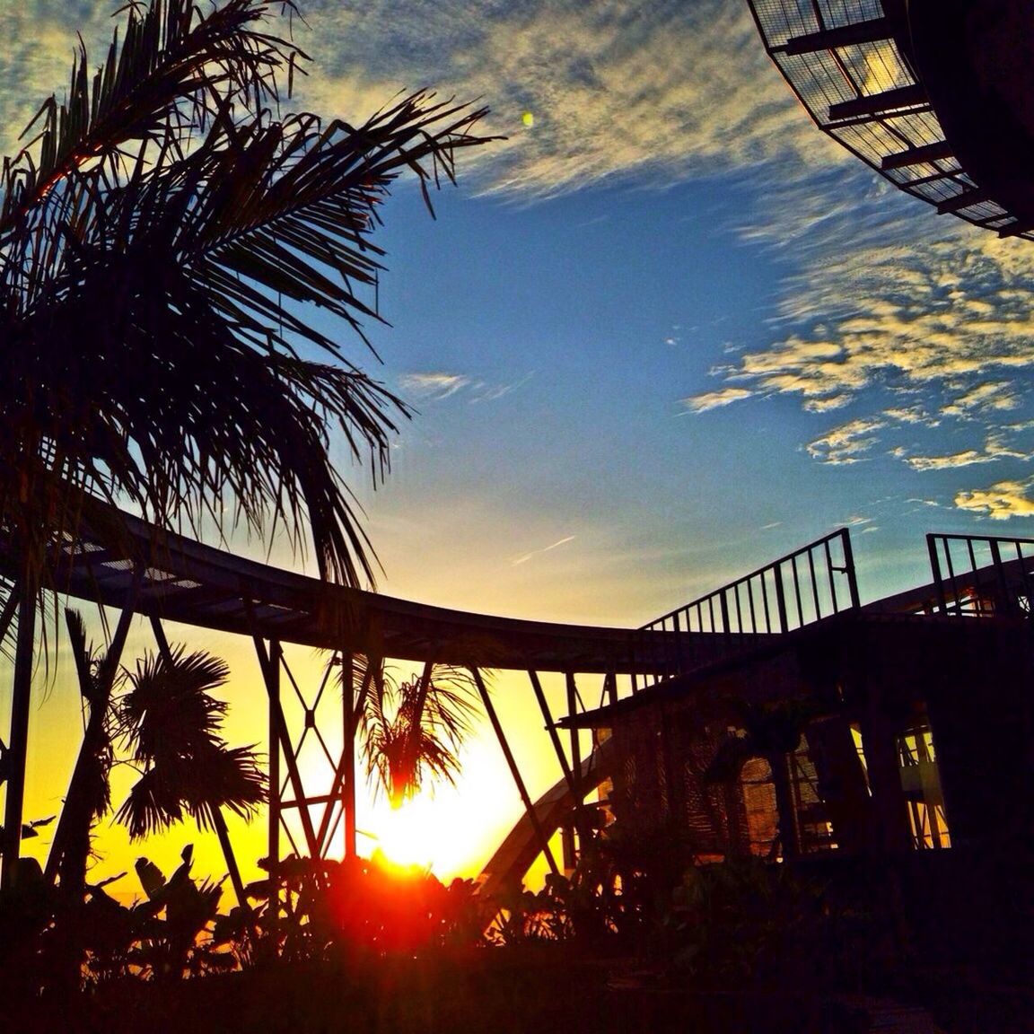 sunset, sun, orange color, built structure, sky, silhouette, architecture, tree, sunlight, low angle view, palm tree, nature, sunbeam, building exterior, beauty in nature, outdoors, lens flare, growth, no people, cloud - sky