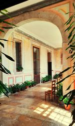 Potted plants outside building