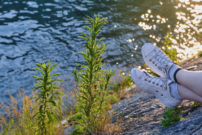 Low section of person by riverbank