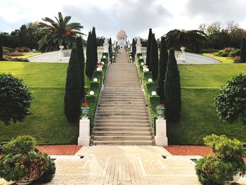 Steps amidst trees against sky