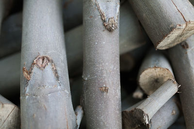 Full frame shot of firewood