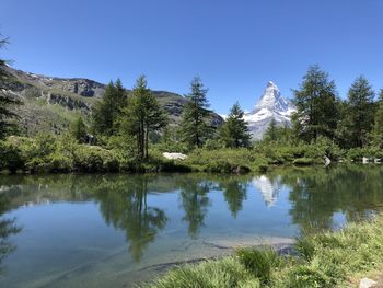 Scenic view of lake by trees against clear blue sky