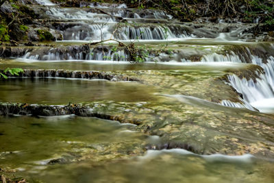 Scenic view of waterfall in forest