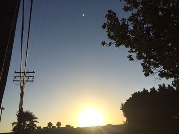 Low angle view of trees against sky during sunset