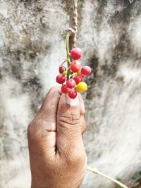 Close-up of hand holding berries