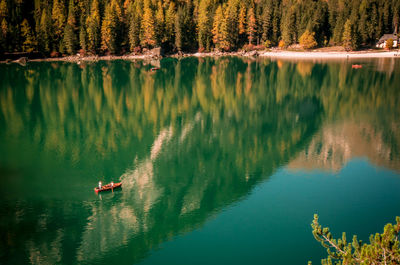 Scenic view of lake in forest