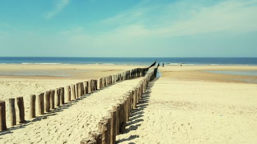 Wooden posts in row at beach