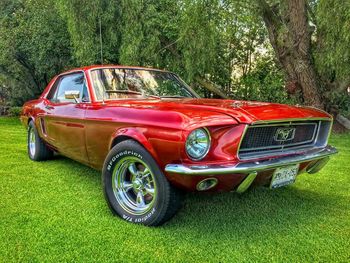 Vintage car on grass