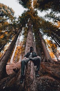 Low angle view of tree trunk in forest