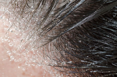 Close up of wet hair