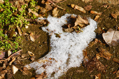 High angle view of rocks on field during winter