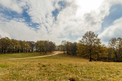 Trees on field against sky