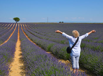 Rear view of woman with arms raised on lavender farm against sky