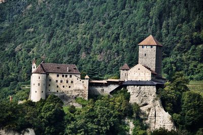 Castle and trees in forest