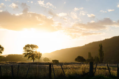 Scenic view of field against sky during sunset