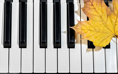 High angle view of piano keys