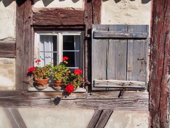 Potted plant on wooden window of house