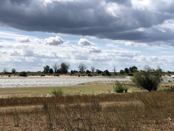 Scenic view of field against sky