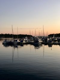 Sailboats moored in harbor at sunset