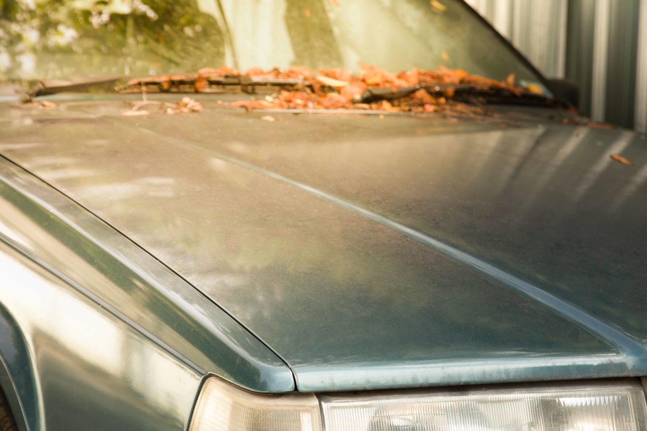 CLOSE-UP OF CAR ON ROAD