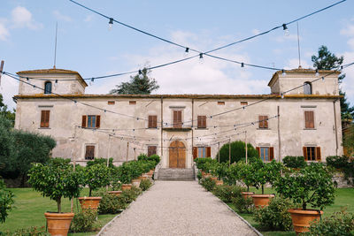 Potted plants and building against sky