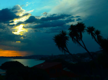 Silhouette palm trees against sky during sunset