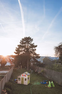 Trees against vapor trail in sky