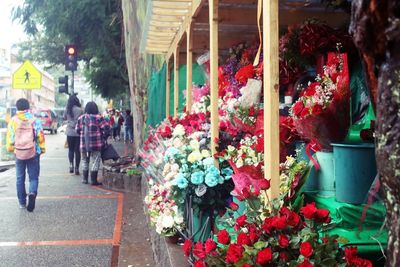 Various flowers for sale in store