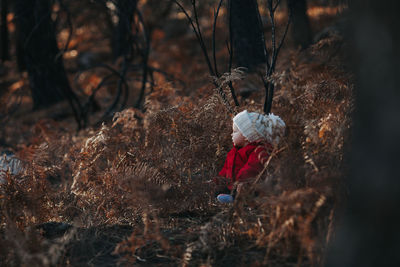 Cute baby girl sitting amidst plants at forest