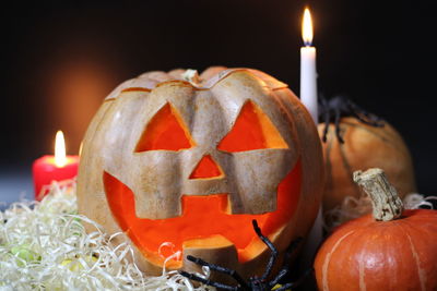 Close-up of pumpkin against black background