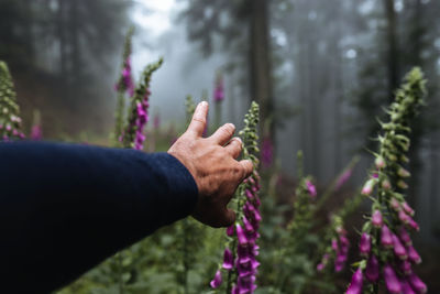 Cropped hand touching flowering plants