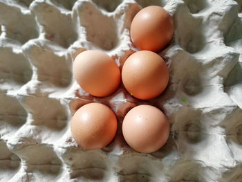 High angle view of eggs in container