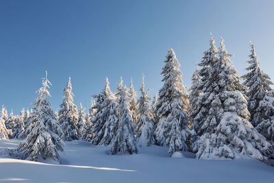 Clear blue sky.