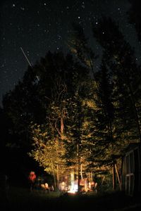 Low angle view of trees against sky at night