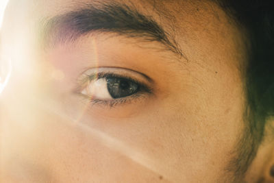 Close-up portrait of teenage boy during sunny day