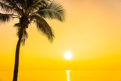 Silhouette palm tree by sea against sky during sunset