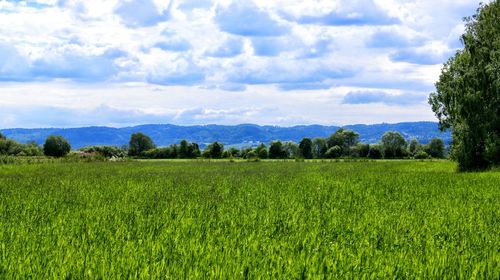 Scenic view of field against cloudy sky