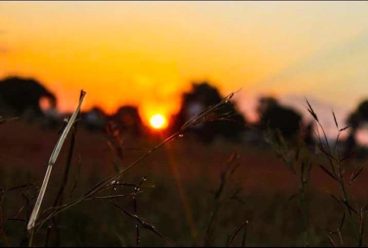 Malawi