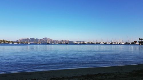 Sailboats in sea against clear blue sky