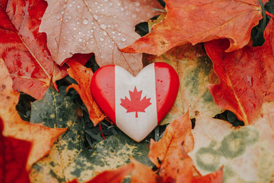 Heart shape wooden national canadian flag symbol lying on ground in autumn fall leaves 