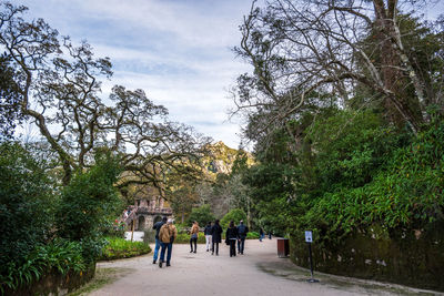 Rear view of people walking on road along trees