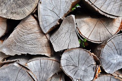 Full frame shot of logs