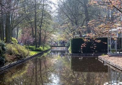 View of footbridge over river