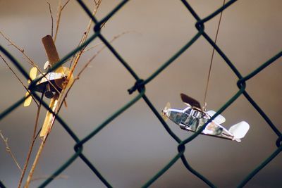 Close-up of airplane toy on fence against sky