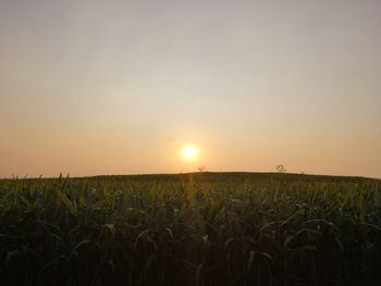 Scenic view of field against sky during sunset