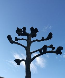 Low angle view of tree against blue sky