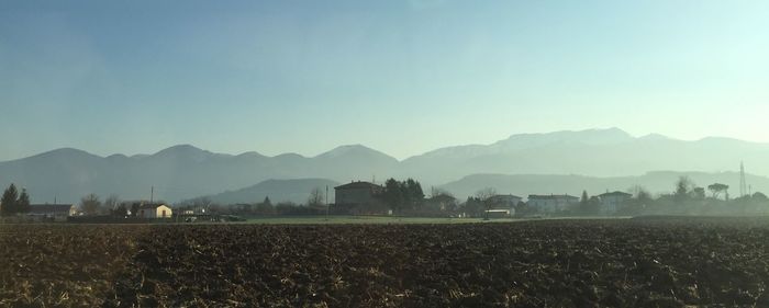 Scenic view of agricultural field against clear sky