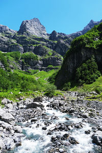 Plants and rocks in stream against sky