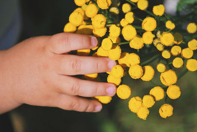 Close-up of hand touching yellow flowers