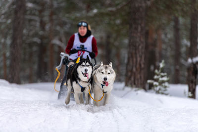 Man riding horse with dog on snow